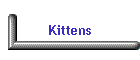 Kittens